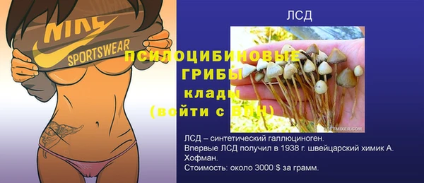 мет Алексин