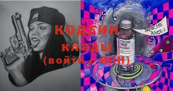 крисы Алзамай