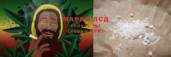 крисы Алзамай