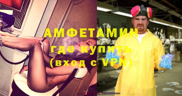мет Алексин