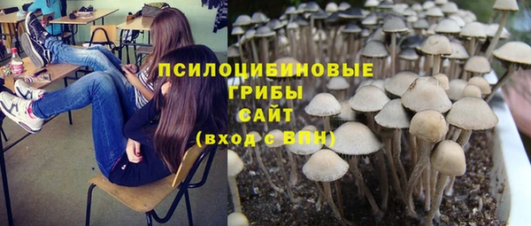 крисы Алзамай