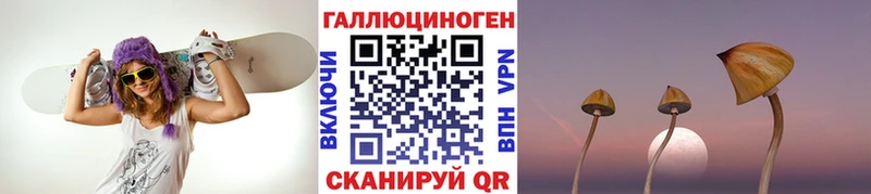 продажа наркотиков  Жуковка  Псилоцибиновые грибы мухоморы 